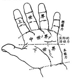手相三大区域
