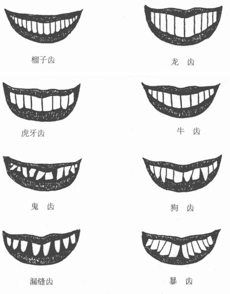 面相图解各种齿相图蕴含的命理含义